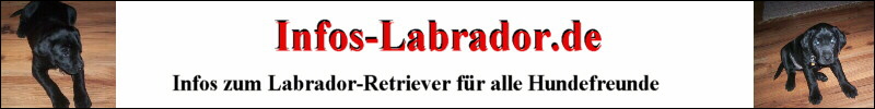 Labrador Infos auf Infos-Labrador.de