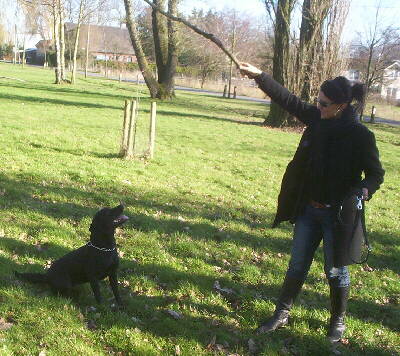 Labrador Blackie mit Frauchen 3