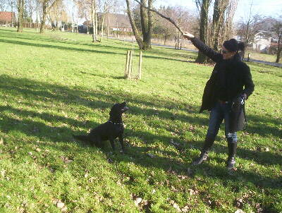 Labrador Blackie mit Frauchen 2